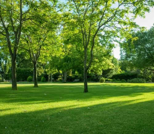 Community Garden